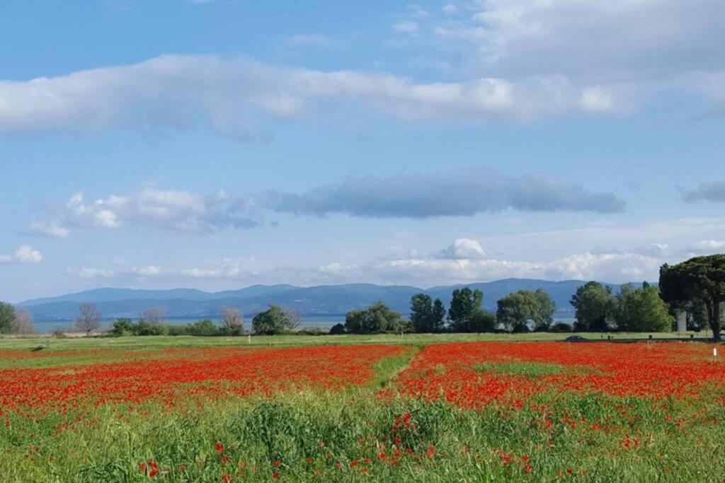 Bellavista La Tua Romantica Vacanza Sul Trasimeno Appartement Castiglione del Lago Buitenkant foto