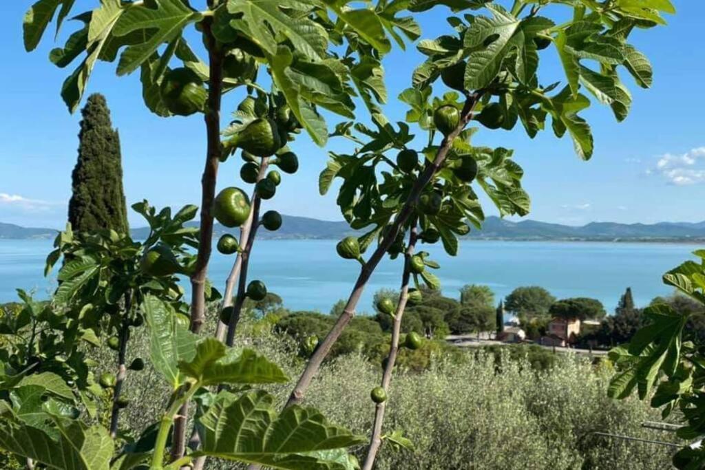 Bellavista La Tua Romantica Vacanza Sul Trasimeno Appartement Castiglione del Lago Buitenkant foto