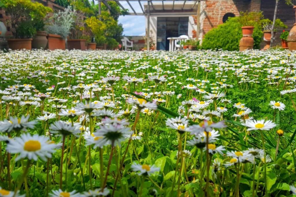 Bellavista La Tua Romantica Vacanza Sul Trasimeno Appartement Castiglione del Lago Buitenkant foto