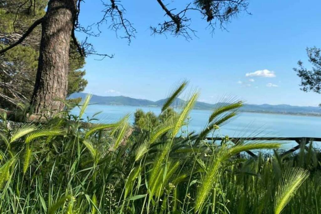 Bellavista La Tua Romantica Vacanza Sul Trasimeno Appartement Castiglione del Lago Buitenkant foto