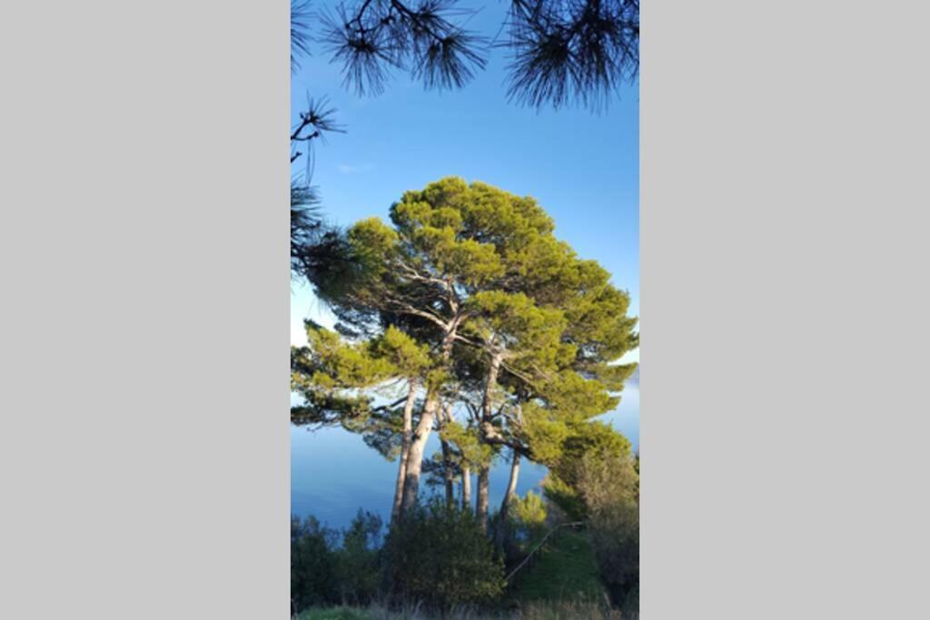 Bellavista La Tua Romantica Vacanza Sul Trasimeno Appartement Castiglione del Lago Buitenkant foto