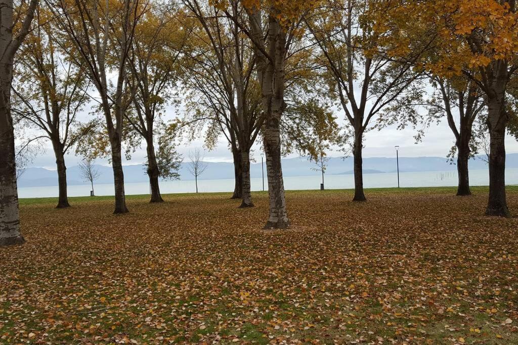 Bellavista La Tua Romantica Vacanza Sul Trasimeno Appartement Castiglione del Lago Buitenkant foto