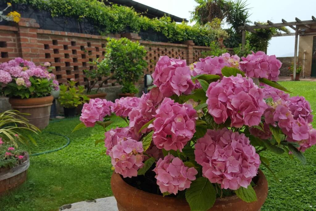 Bellavista La Tua Romantica Vacanza Sul Trasimeno Appartement Castiglione del Lago Buitenkant foto