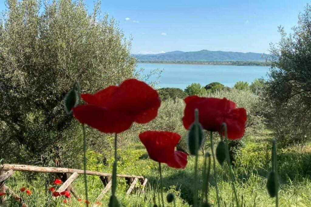 Bellavista La Tua Romantica Vacanza Sul Trasimeno Appartement Castiglione del Lago Buitenkant foto