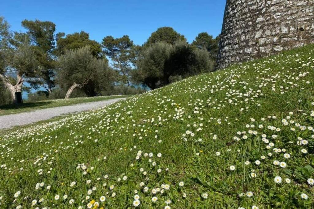 Bellavista La Tua Romantica Vacanza Sul Trasimeno Appartement Castiglione del Lago Buitenkant foto