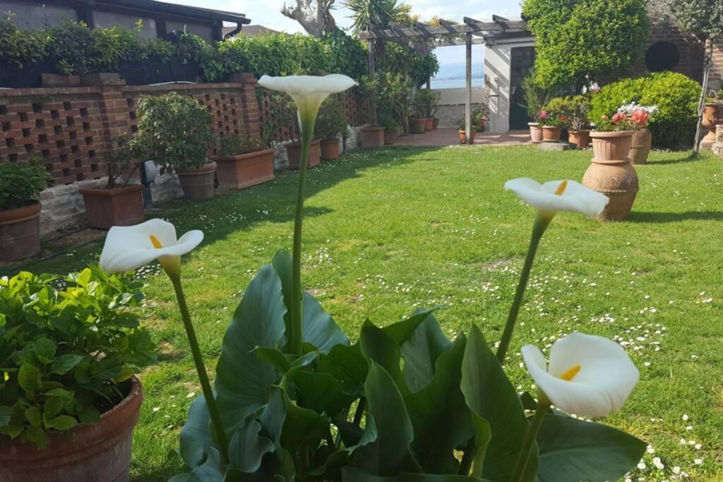 Bellavista La Tua Romantica Vacanza Sul Trasimeno Appartement Castiglione del Lago Buitenkant foto