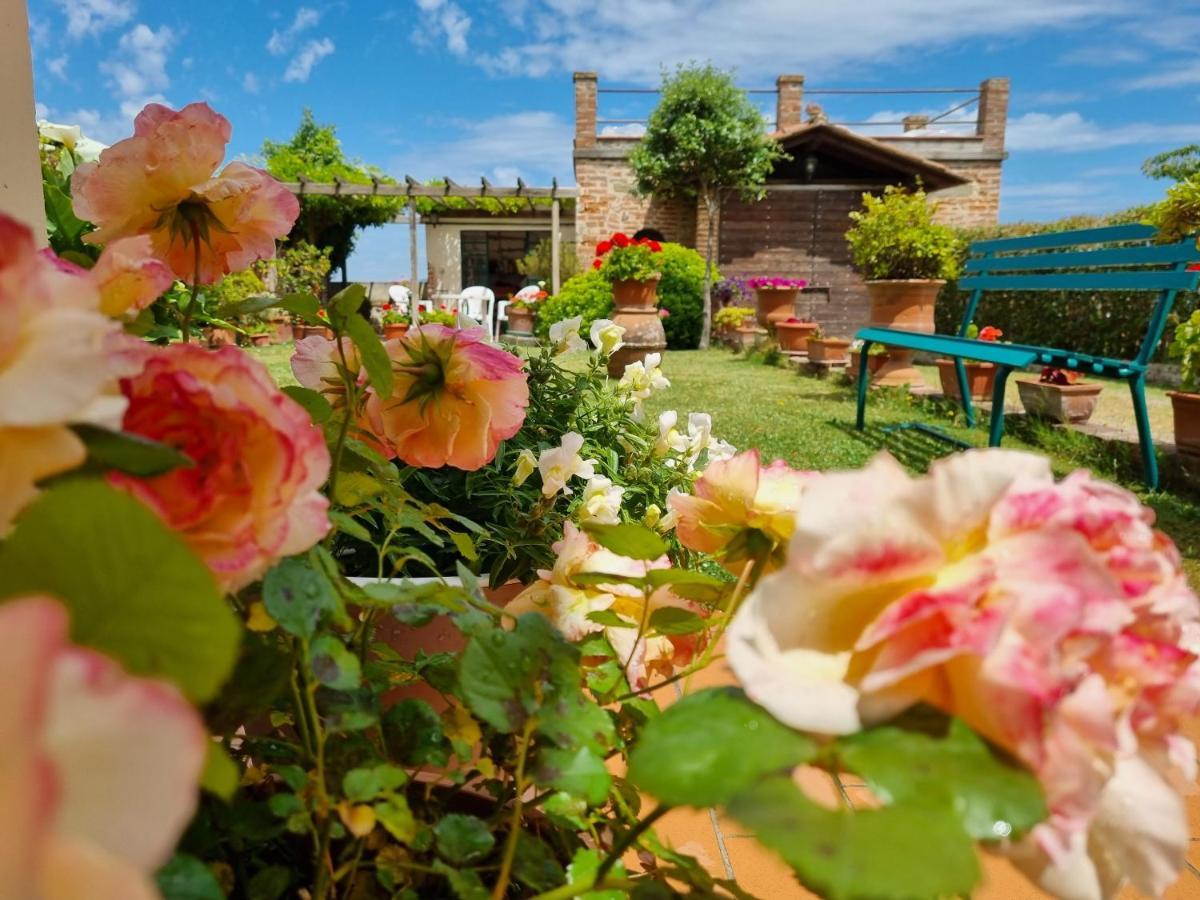 Bellavista La Tua Romantica Vacanza Sul Trasimeno Appartement Castiglione del Lago Buitenkant foto