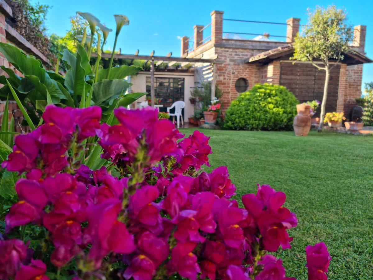 Bellavista La Tua Romantica Vacanza Sul Trasimeno Appartement Castiglione del Lago Buitenkant foto